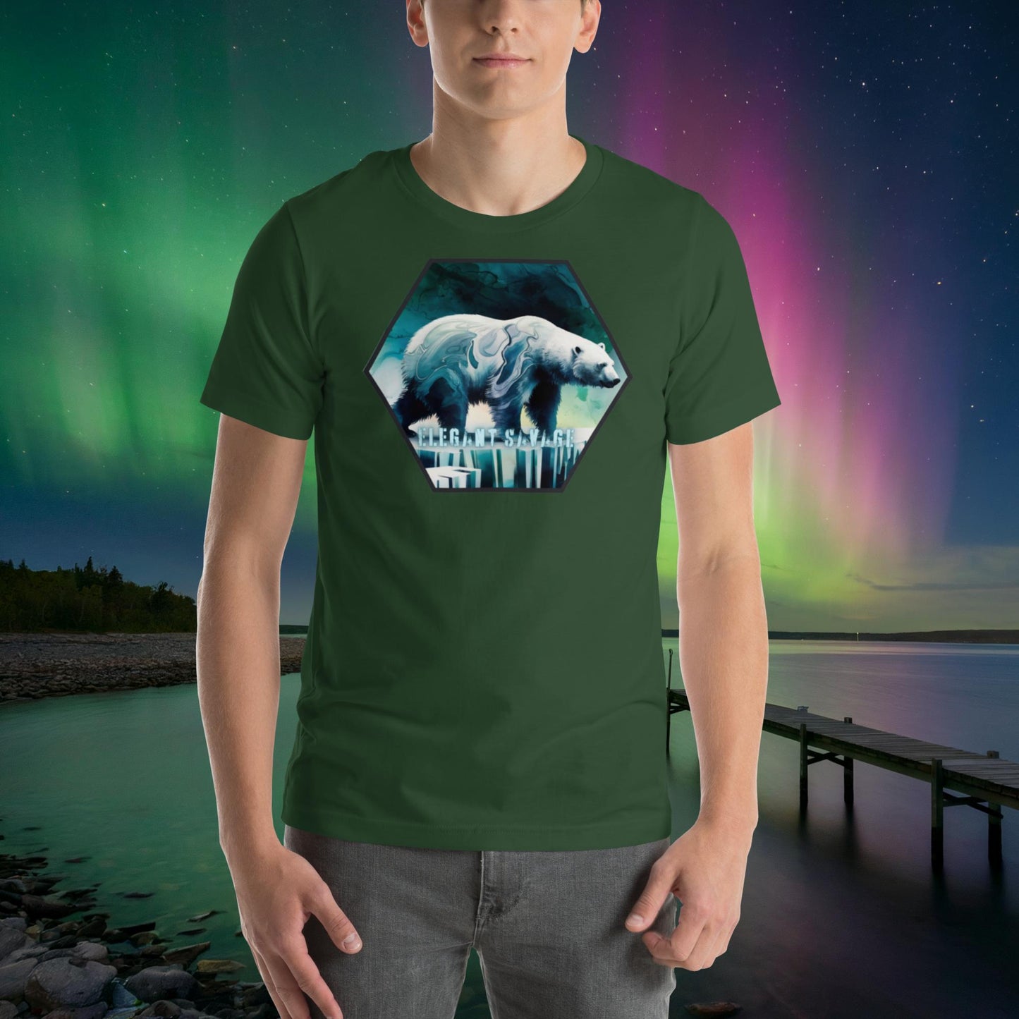 Men’s Icebreaker Graphic Tee