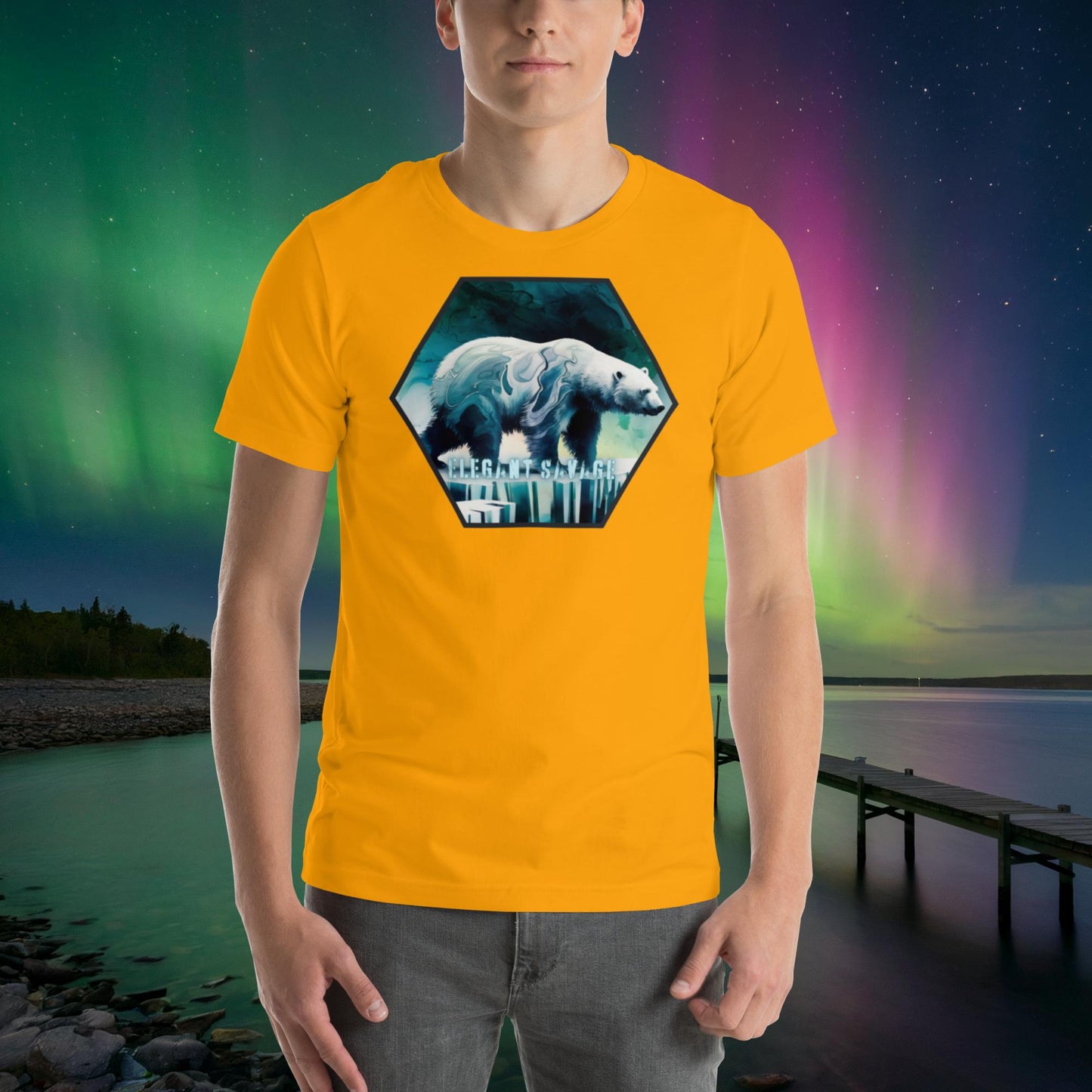 Men’s Icebreaker Graphic Tee